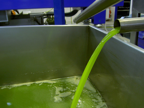 0,5 Liter grünes LAKUDIA Olivenöl Ernte Okt. 2022 (Nativ Extra)