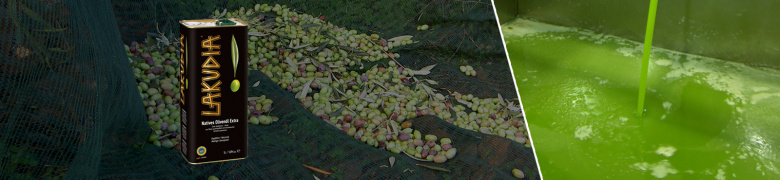 Grünes Olivenöl <br>Ernte Oktober 2023