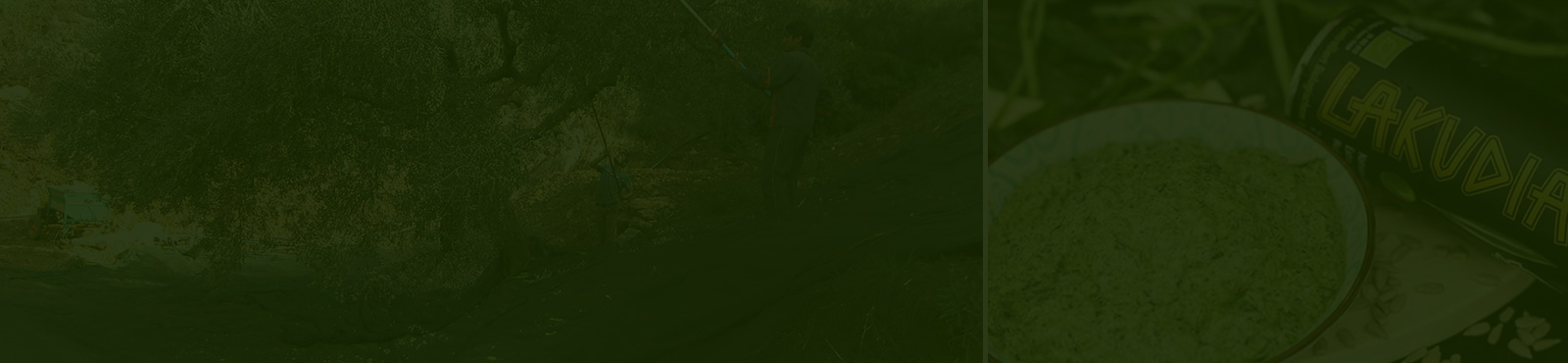 Bitte beachten: Betriebsferien 2025